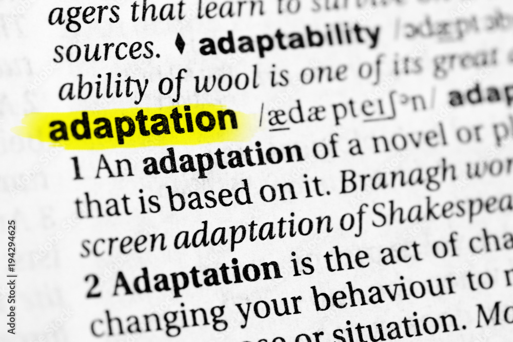 Highlighted English word Highlighted English word