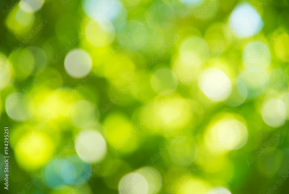 Natural blurred background. Natural blurred background.