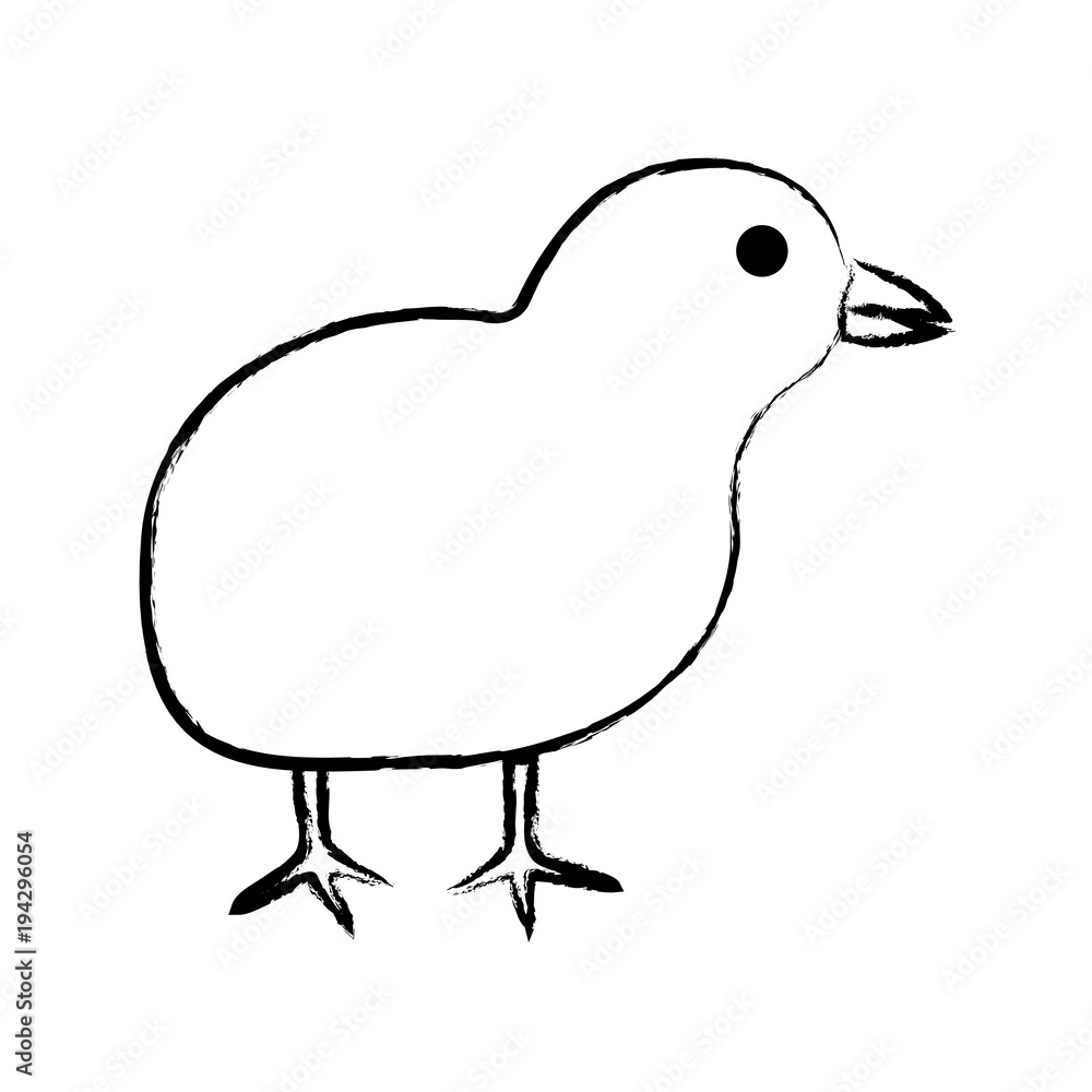 cute chicken icon cute chicken icon