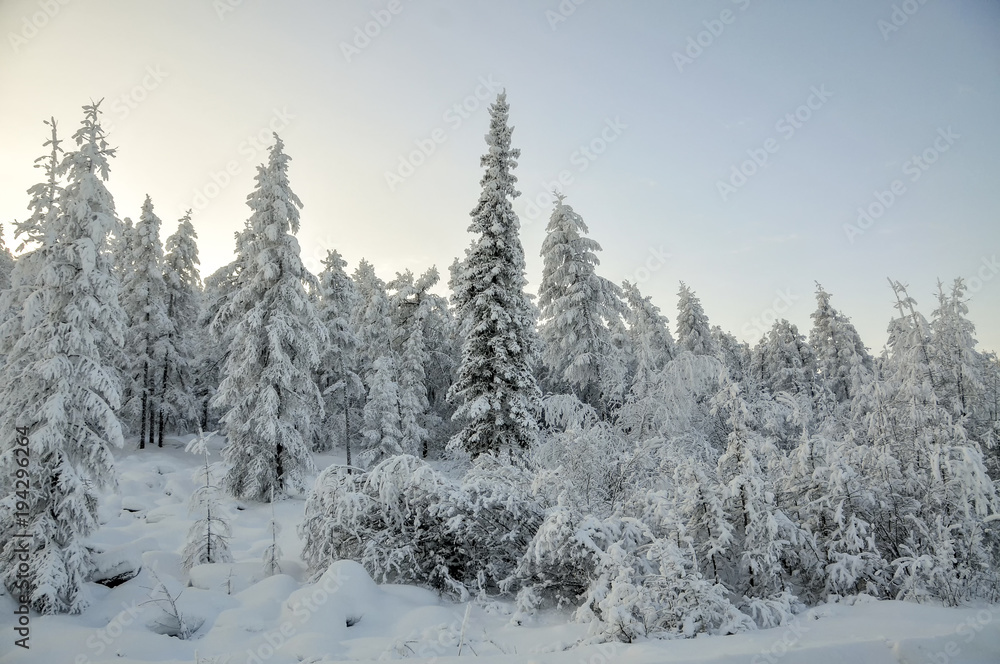 Panorama of the foggy winter landscape in the mountains