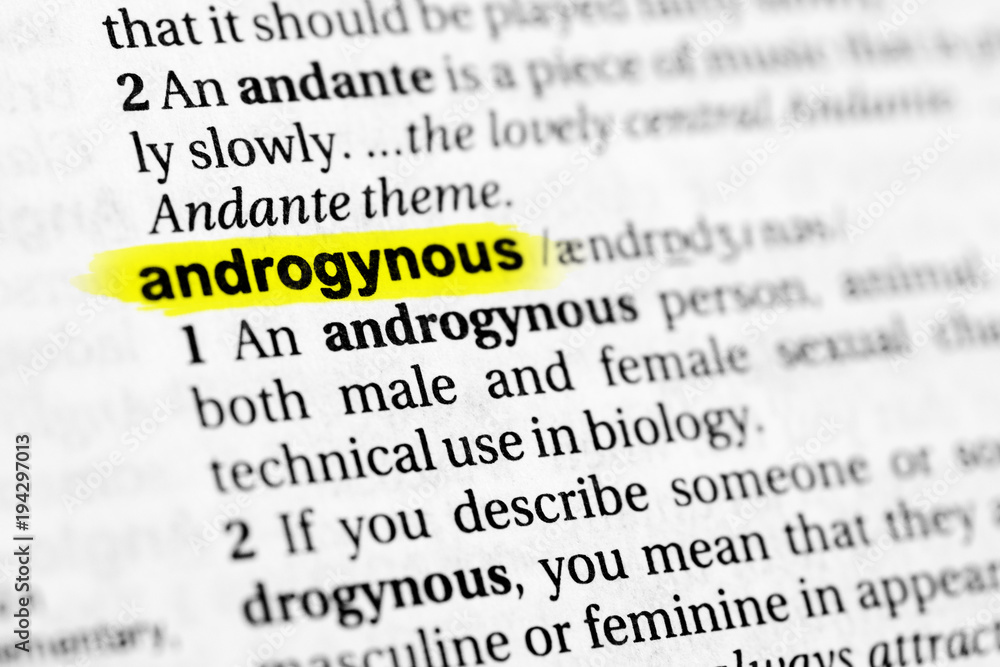 Highlighted English word "androgynous" and its definition in the