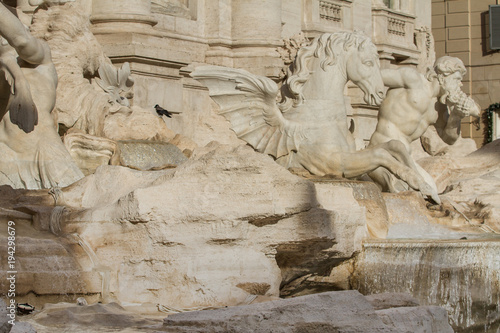 Details of Trevi Fountain, Rome, Italy