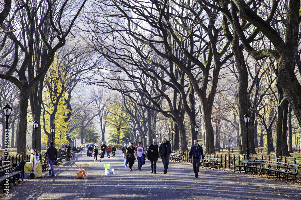 Central park, New York in fall Central park, New York in fall