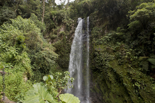 Waterfall in a cloud forest near Boquete  Panama. Accessible by Lost Waterfalls hiking trail