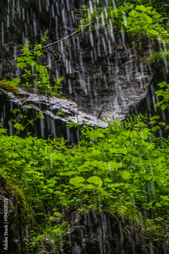 schwarzer Felsen - Regentropfen   Wassertropfen von oben - gr  ner Bewuchs