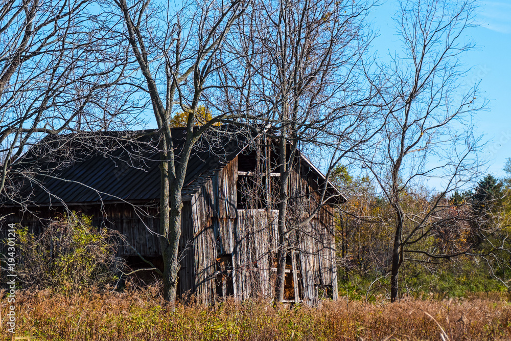 Abandoned Barn in Trees Abandoned Barn in Trees