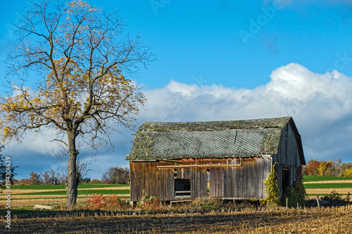 Fényképezés Barn in Disrepair