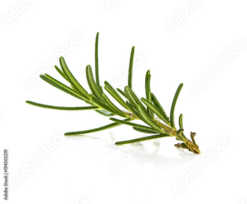 rosemary isolated on white background