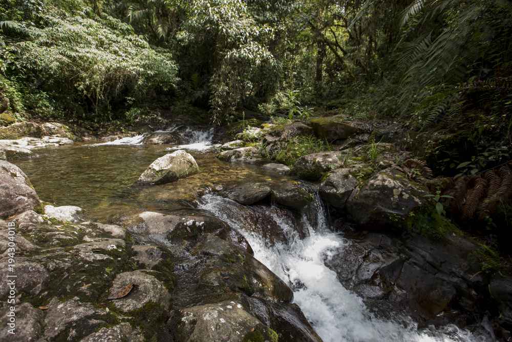 Caldera river through rocks in a rainforest, Boquete ,Chiriqui highlands, Panama, Central America