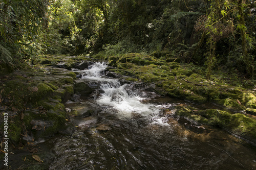 Caldera river through rocks in a rainforest  Boquete  Chiriqui highlands  Panama  Central America