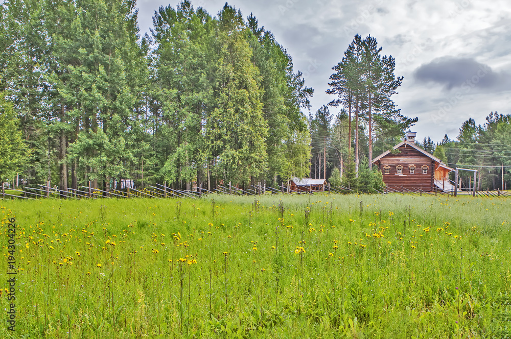 Linen field on the background of a peasant house. Linen field on the background of a peasant house.