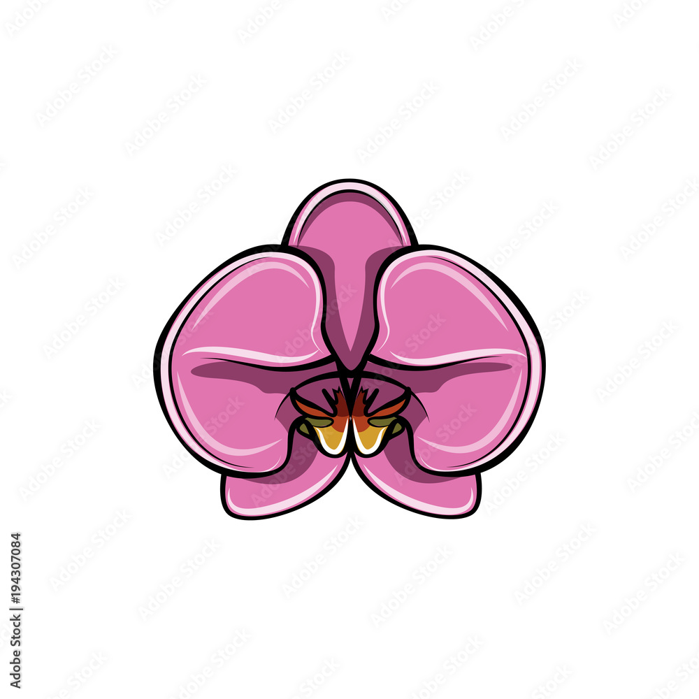 Beautiful pink Orchid. Flower. Vector illustration.
