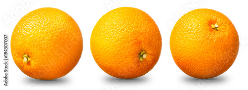 Collection of single orange fruit isolated on white background