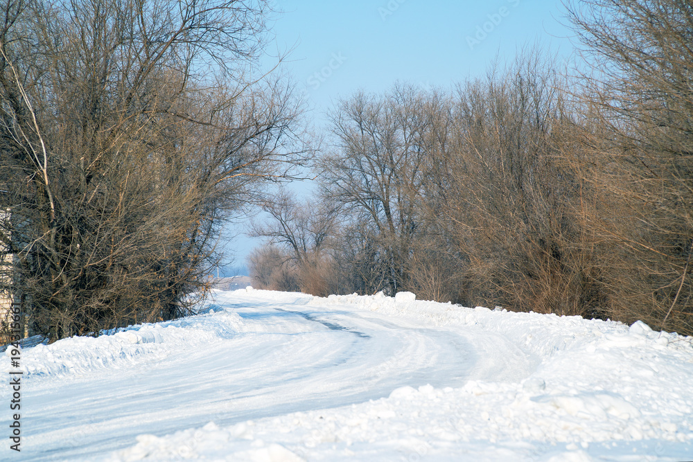 Fototapeta premium Winter snow-covered road with trees at the edges