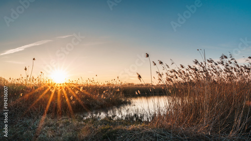 Rieselfelder Münster