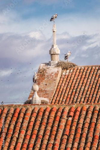 Two roofs and three storks, one on a cross, in an old building of Alcala de Henares. photo