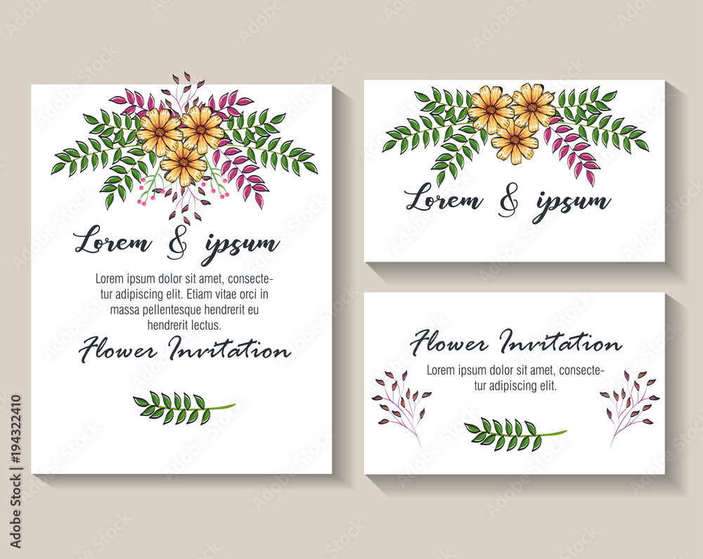floral decoration flyers postcards vintage style vector illustration design