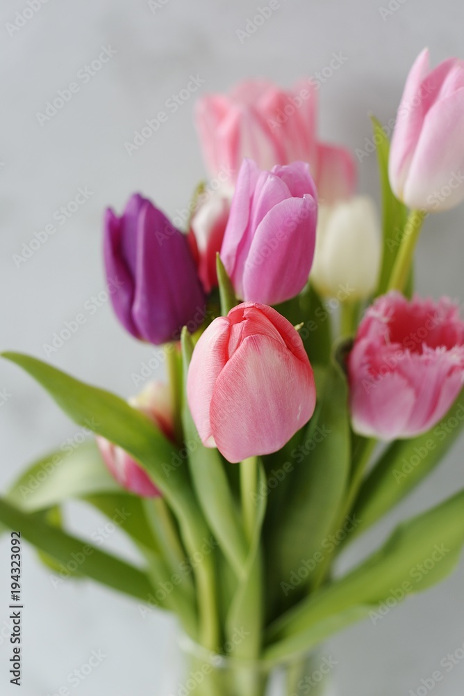 Obraz premium spring flowers tulips
