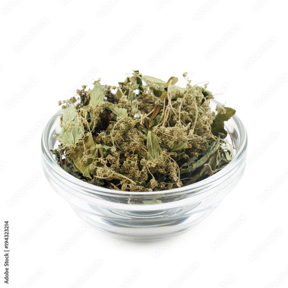 Nettle spices and herbs in glass dish isolated on white background. Nettle spices and herbs in glass dish isolated on white background.