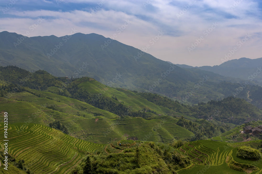 View of the Longsheng Rice Terraces near the of the Dazhai village in the province of Guangxi, in China, with a female farmer working the land; 