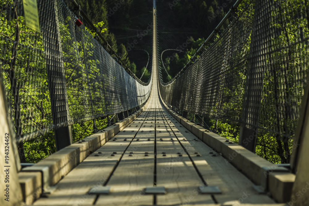 Obraz premium on the Geierlay Bridge