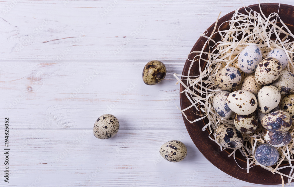 Quail raw eggs Quail raw eggs