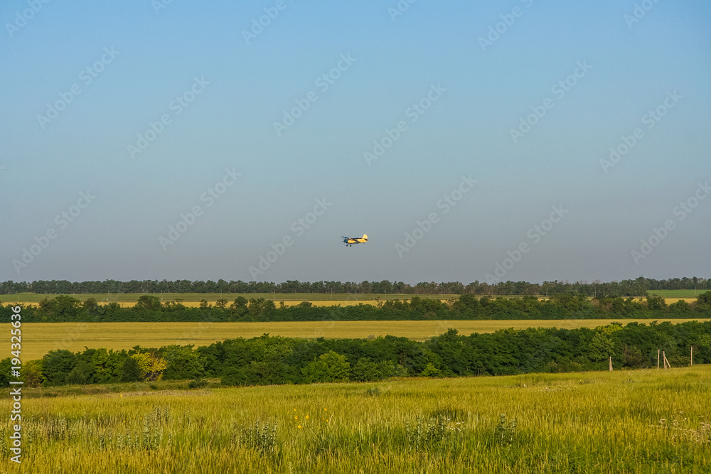 Tavriysky blooming steppe in summer Tavriysky blooming steppe in summer