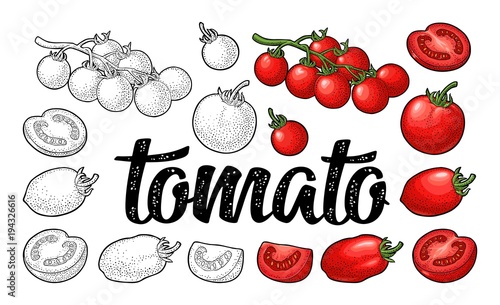 Set of hand drawn tomatoes. Branch, whole and slice.