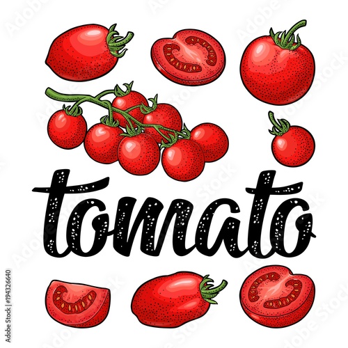 Set of hand drawn tomatoes and calligraphic lettering. Engraving vintage