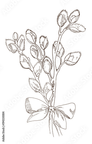 bunch of willow branches tied with a bow. The sketch marker. Vector