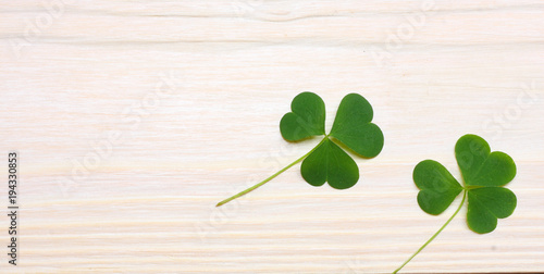 Closeup clovers leaves on white wooden background top view with copy space