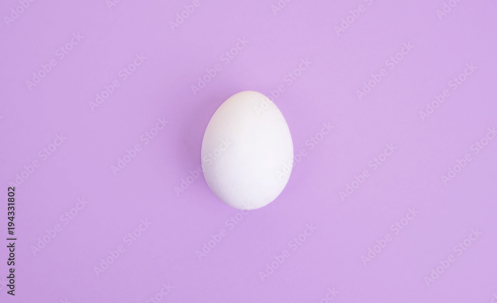 One white egg on pastel lilac background.