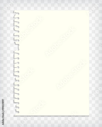Blank notebook page with torn edge