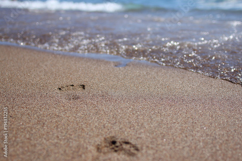 Wallpaper Mural Footprint on sand at the beach Torontodigital.ca