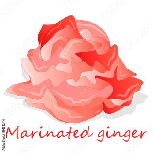 Marinated ginger slices illustration  isolated