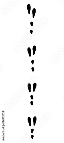 Rabbit tracks. Typical footprints when running - isolated black icon vector illustration on white background.
