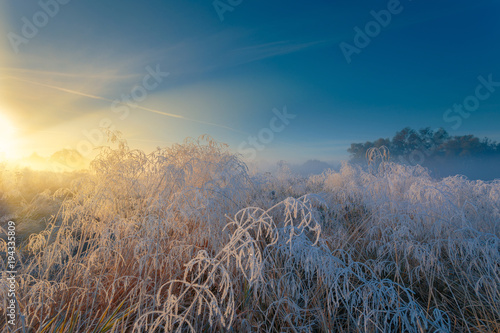 Beautiful autumn sunrise landscape with hoarfrost on the grass.