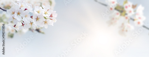 Der Frühling ist da!
