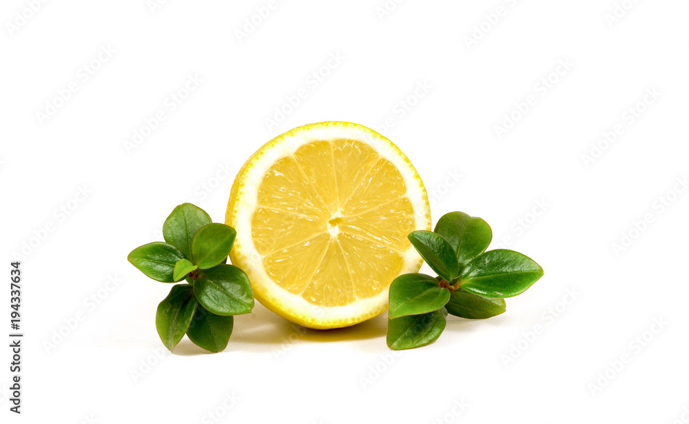 lemon c leaves on a white background lemon c leaves on a white background