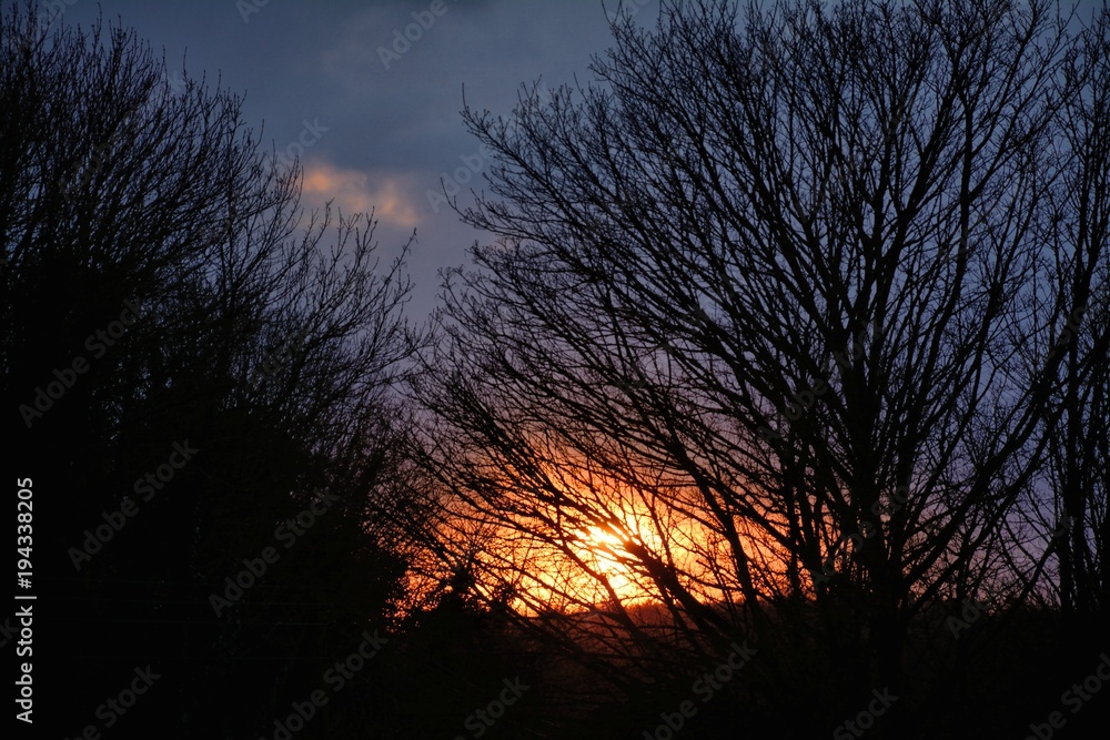 Stunning sunset on February afternoon, in UK, seen through bare branches of trees Stunning sunset on February afternoon, in UK, seen through bare branches of trees