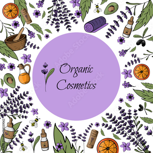 Frame, postcard, mockup  natural, organic bio cosmetics. Hand painted objects and flowers. Spa, medicinal herbs, health. Vector illustration