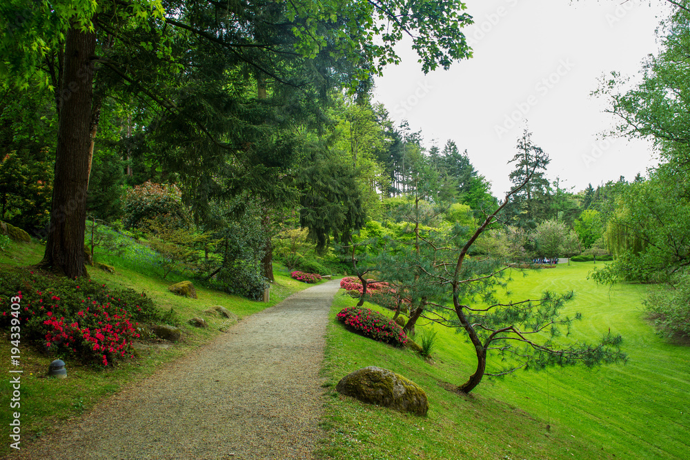 Beauty nature in Japanese aprk in France. Beauty nature in Japanese park in France in Maulivrier . Pays de la loire .
