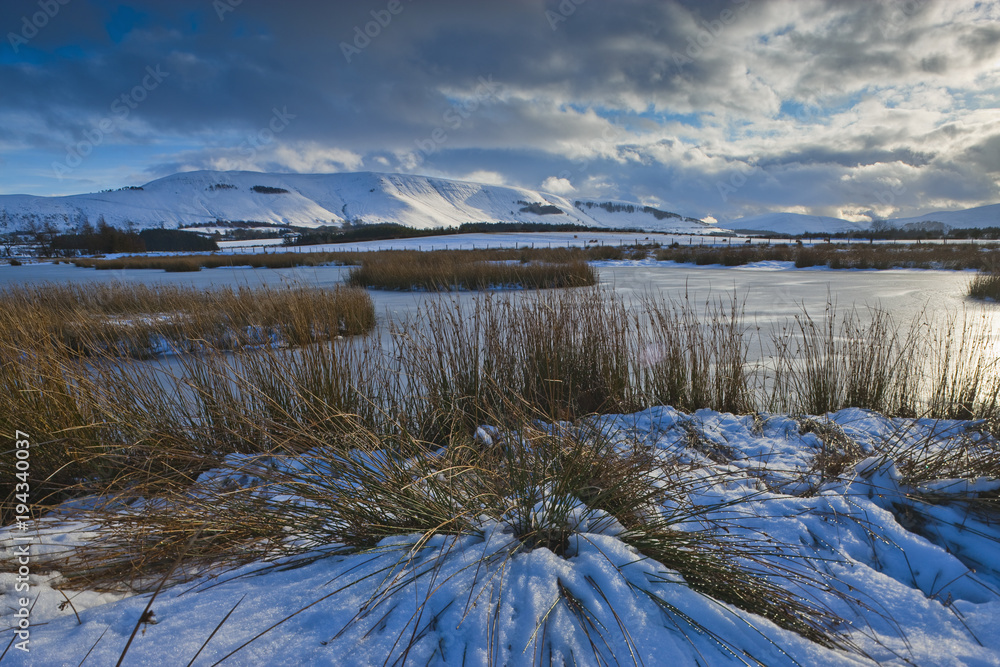 Frozen ponds at Mynydd Illtyd Common Brecon Beacons Powys Wales