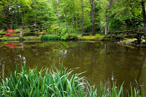 Pond  abd   forest. Beauty nature in Japanese park in France in Maulivrier . Pays de la loire .