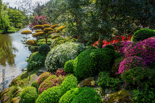 Foto Beauty nature in Japanese park in France in Maulivrier