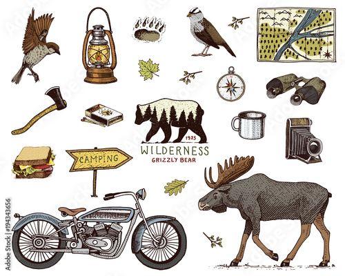 camping equipment set, outdoor adventure, hiking. Traveling man with luggage. tourism trip. engraved hand drawn in old sketch. moose and motorcycle, sandwich and binoculars, camera. backpack.