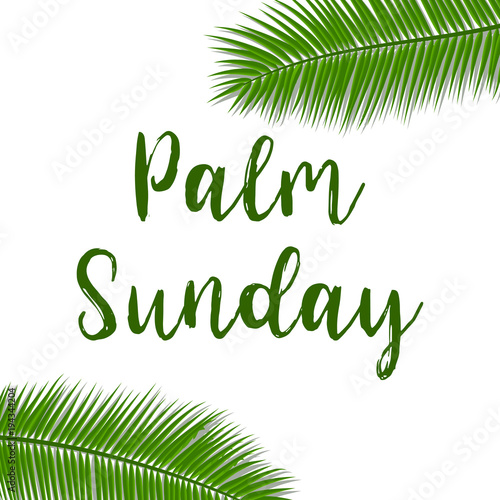 Green Palm leafs vector icon. Vector illustration for the Christian holiday. Palm Sunday text handwritten font.