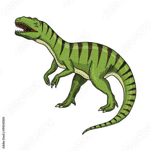 Dinosaurs Tyrannosaurus rex, Afrovenator, Megalosaurus, Tarbosaurus, Struthiomimus skeletons, fossils. Prehistoric reptiles, Animal engraved Hand drawn vector © artbalitskiy