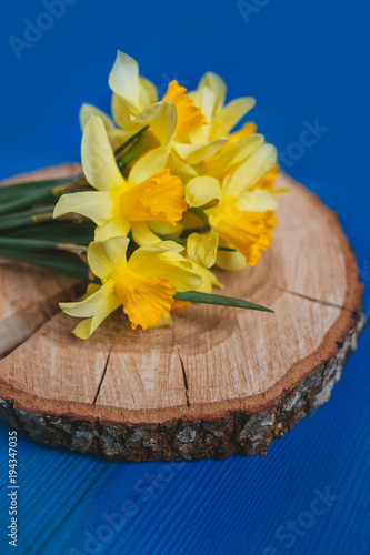 Fototapeta Naklejka Na Ścianę i Meble -  Spring easter background with daffodils bouquet on blue wooden table