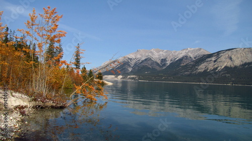 Fototapeta Naklejka Na Ścianę i Meble -  Autumn On Lake Abraham, Nordegg, Alberta